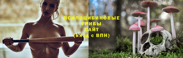 хмурый Богданович