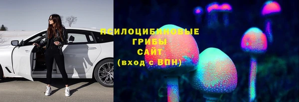 PSILOCYBIN Верея