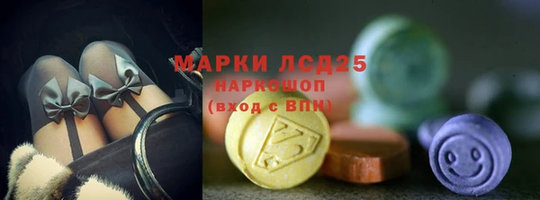 прущие грибы Верхнеуральск