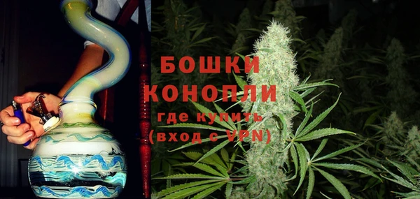 прущие грибы Верхнеуральск