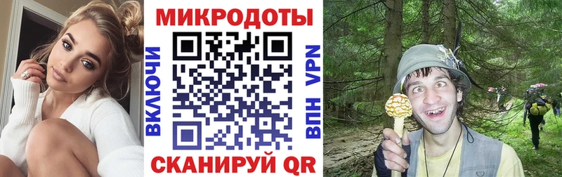 Галлюциногенные грибы прущие грибы  как найти наркотики  Выкса 