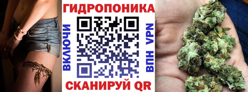 ОМГ ОМГ ссылки  Выкса  Бошки марихуана планчик 